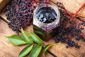 Elderberry Syrup Kit